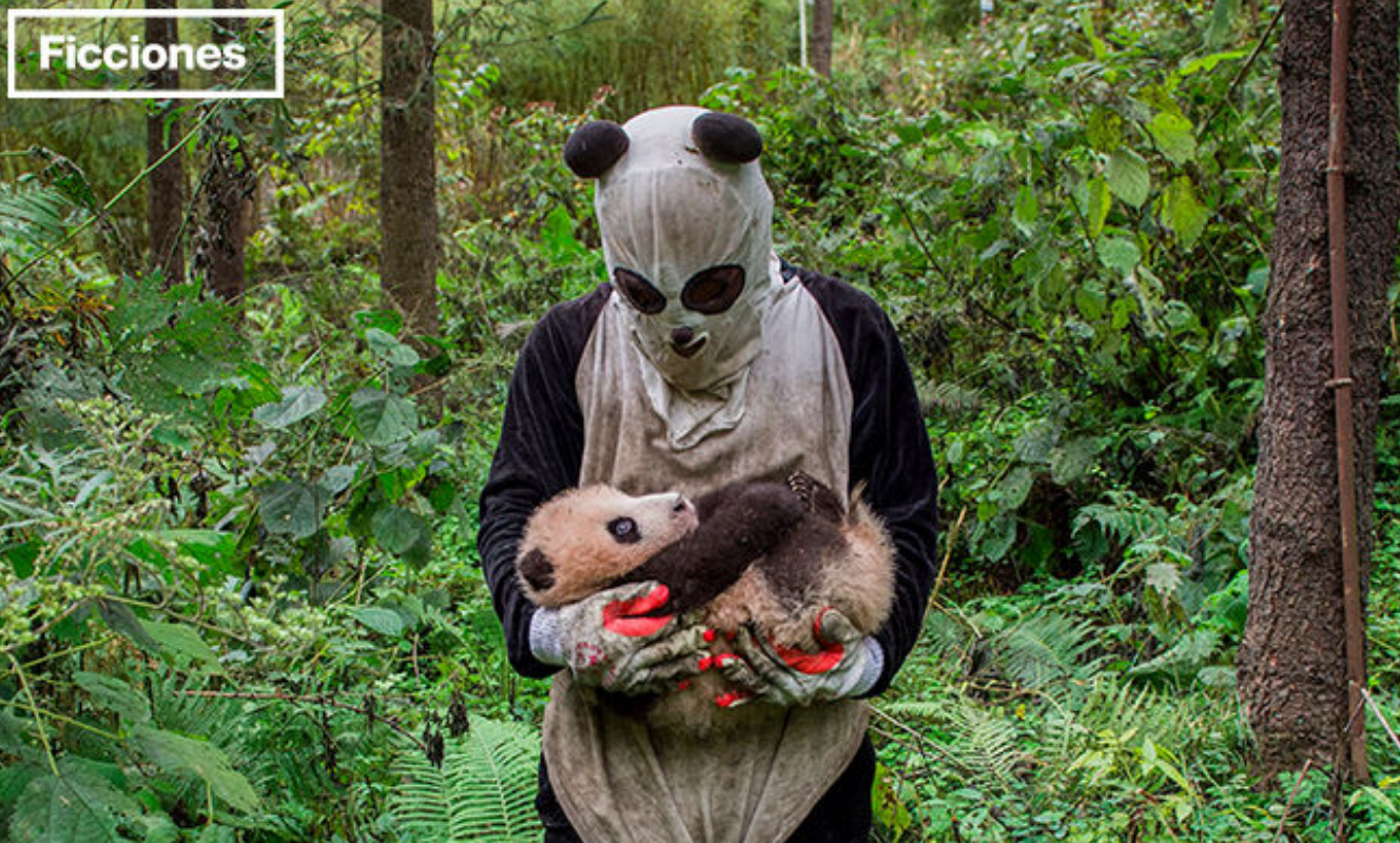 “Maté al último panda gigante para salvar el mundo”